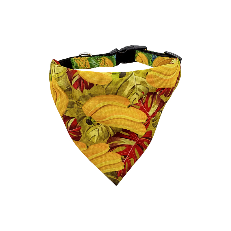 Regulowana bandana z obrożą dla psa i pasujący zestaw scrunchie